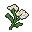 Yarrow