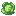 Cabbage